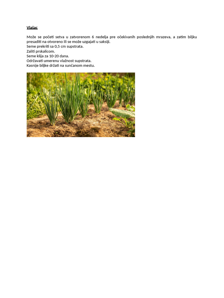 Vlasac | PDF