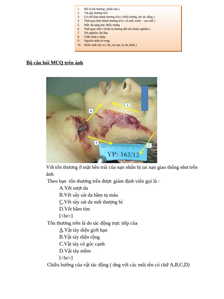 B E1 BA A3n 20sao 20c E1 BB A7a 20Y-Phap Case | PDF