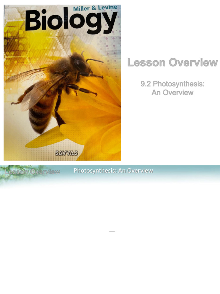Understanding Photosynthesis Basics | PDF | Photosynthesis | Chloroplast