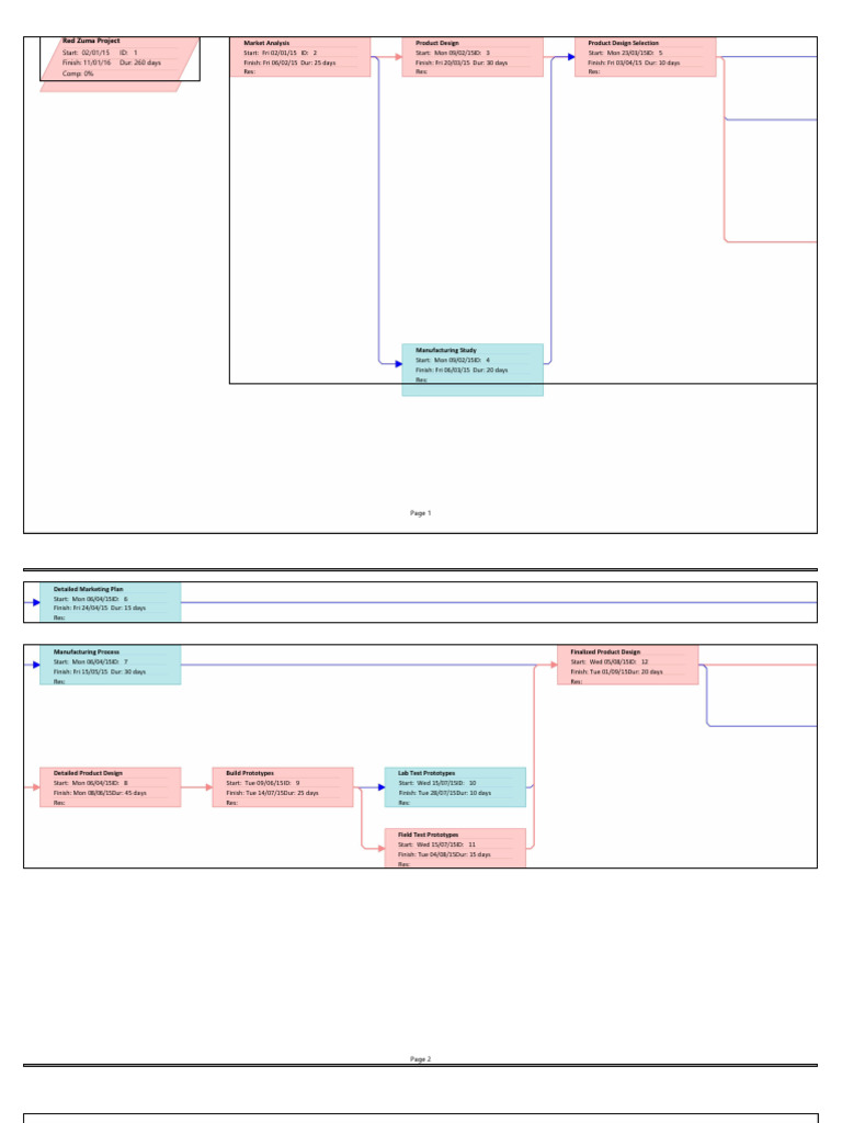 Red Zuma Project Timeline Overview | PDF