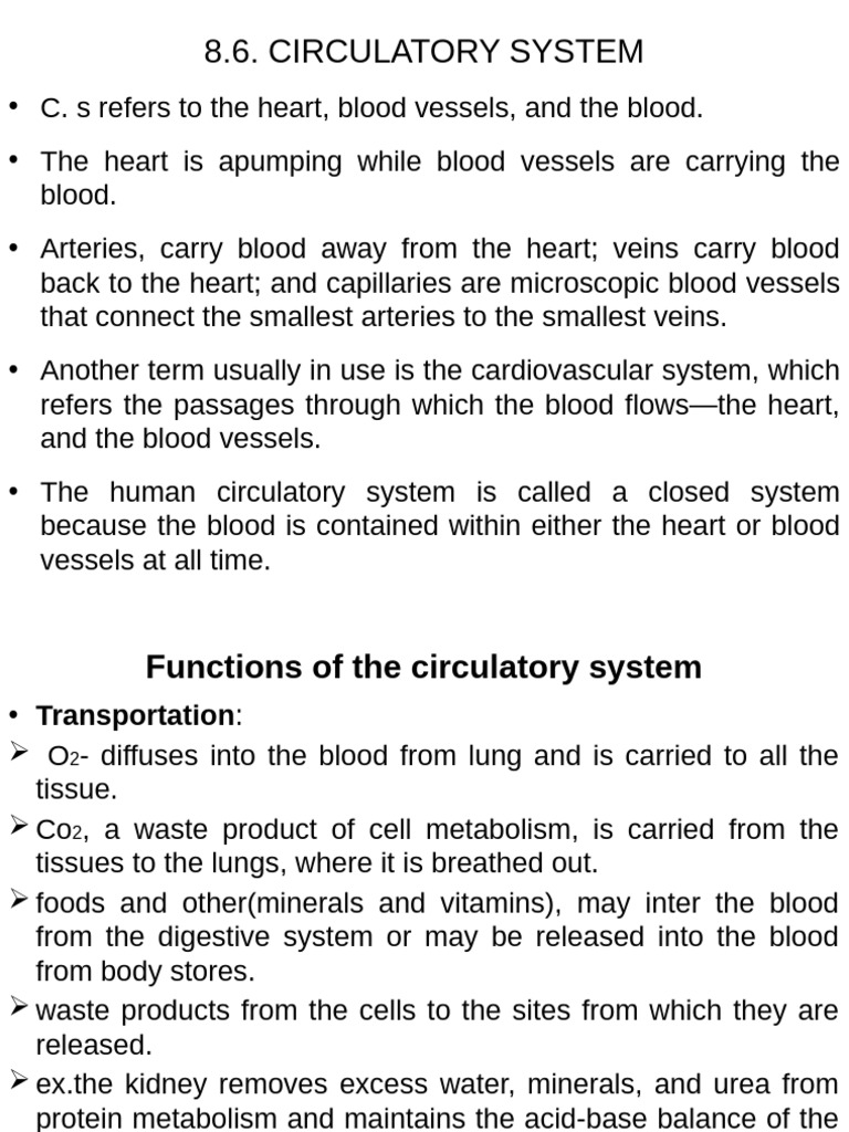 Mammalian&Circulatory System | PDF | Heart Valve | Ventricle (Heart)