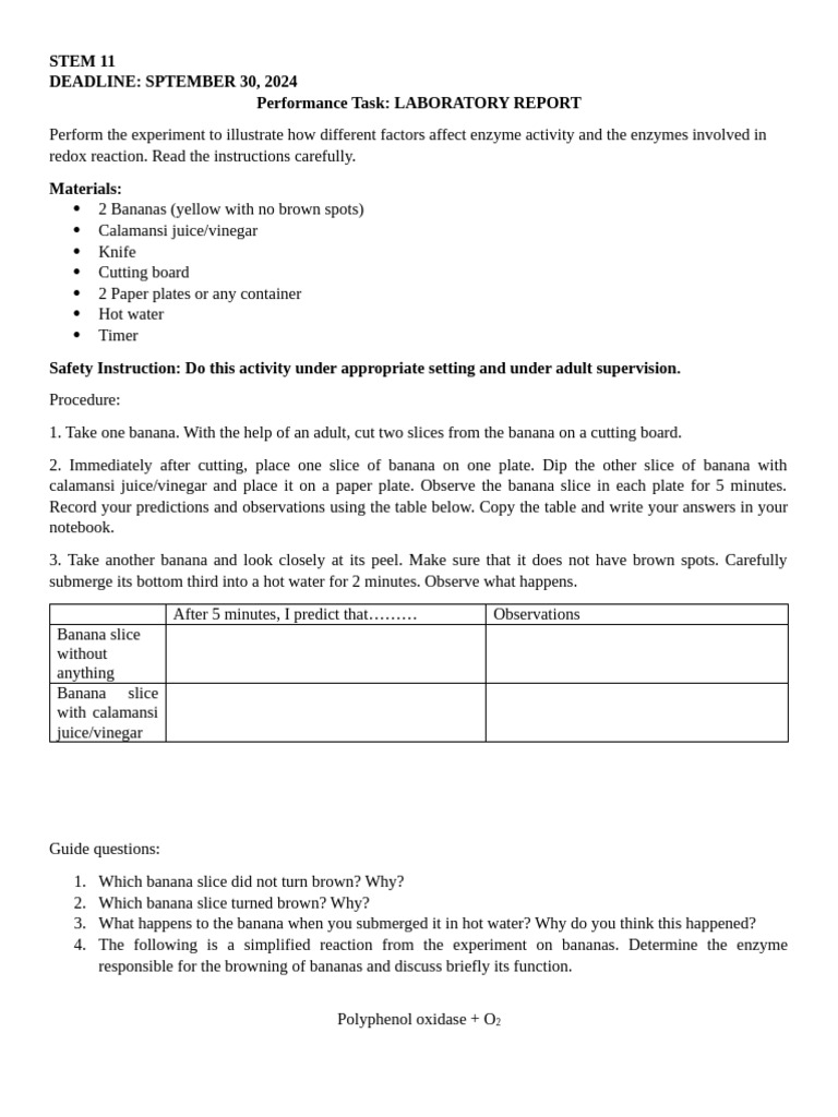 Enzyme Activity Lab Report Instructions | PDF