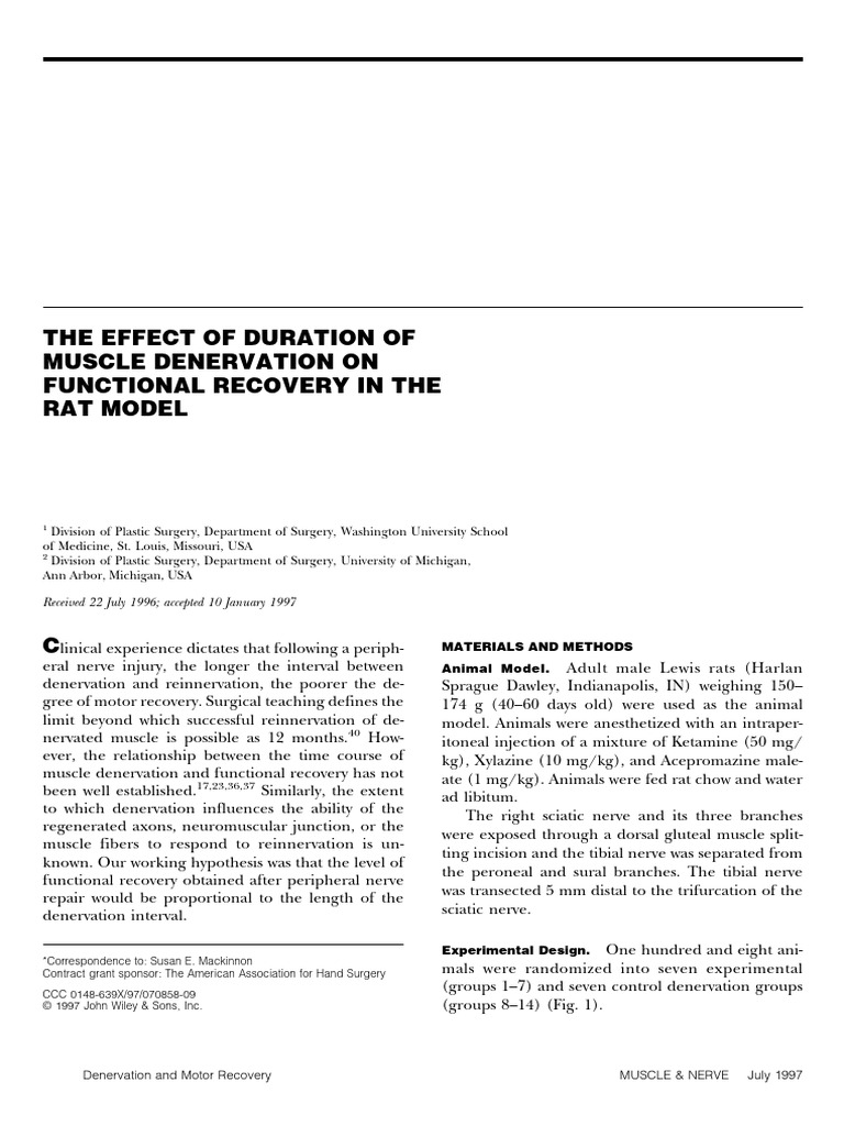 The Effect of Duration of Muscle Denervation | PDF | Human Anatomy ...