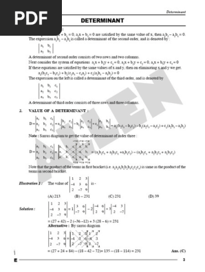 Understanding Determinants and Their Properties | PDF