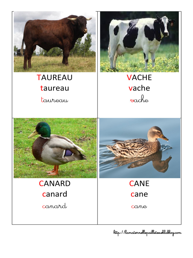 Imagier des animaux de la ferme | PDF