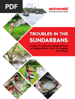 Troubles-in-the-Sundarbans-I-E-book | PDF | Erosion | Mangrove