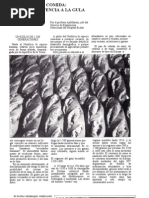 De La Supervivencia a La Gula