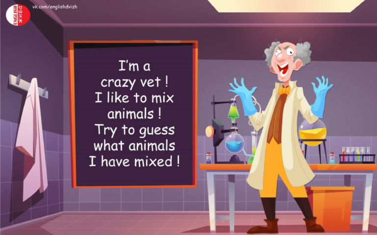 Crazy Vet Animals Pdf