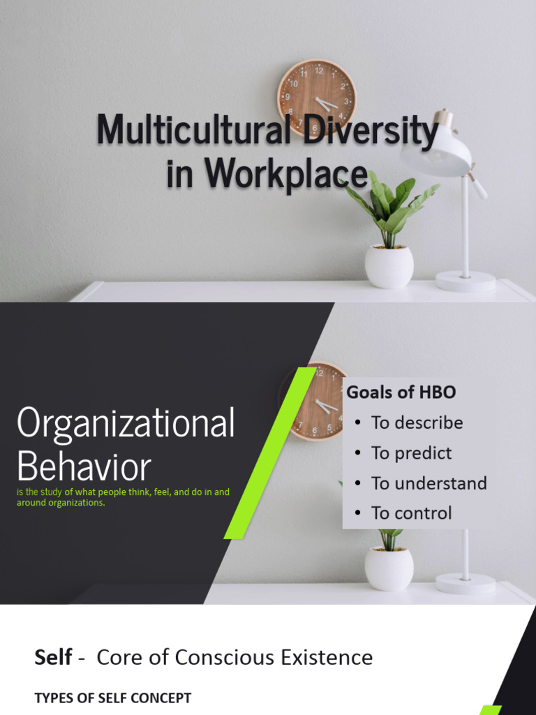 Chp1 Multicultural Diversity in Workplace | PDF