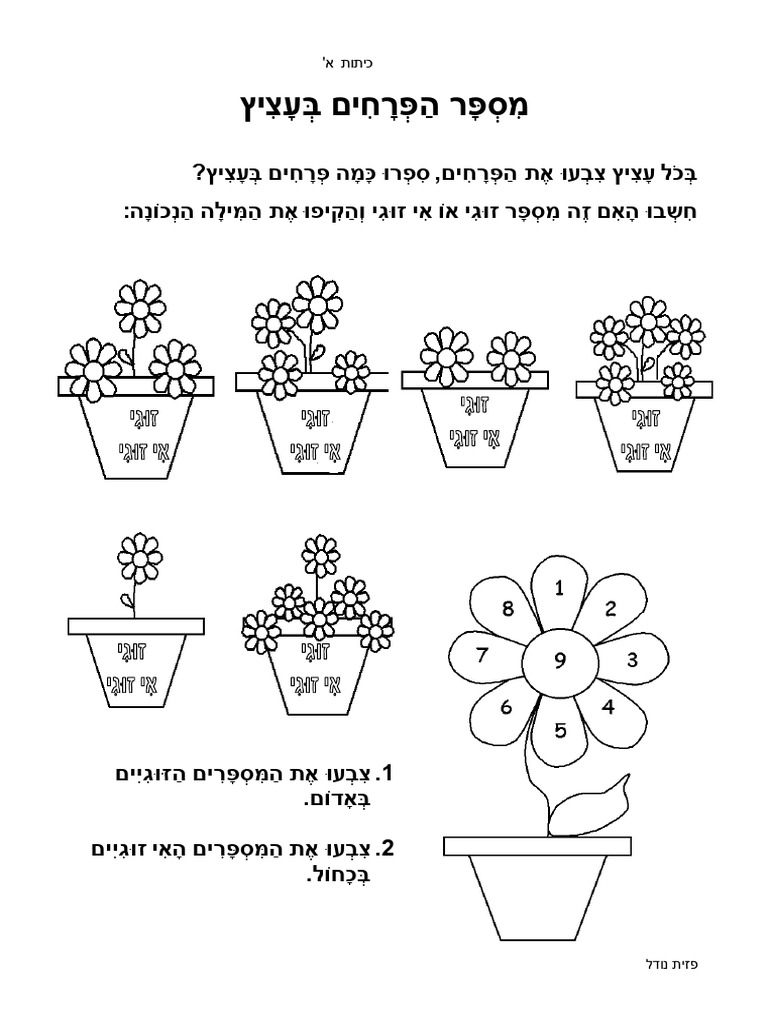 דף תרגול בחשבון לכיתה א - זוגי אי זוגי | PDF