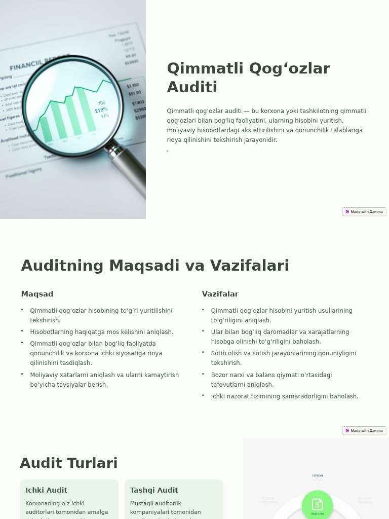 Audit | PDF