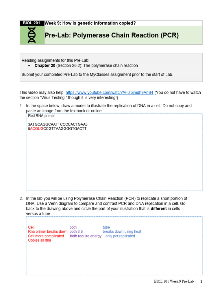 Week 9 Pre Lab | PDF