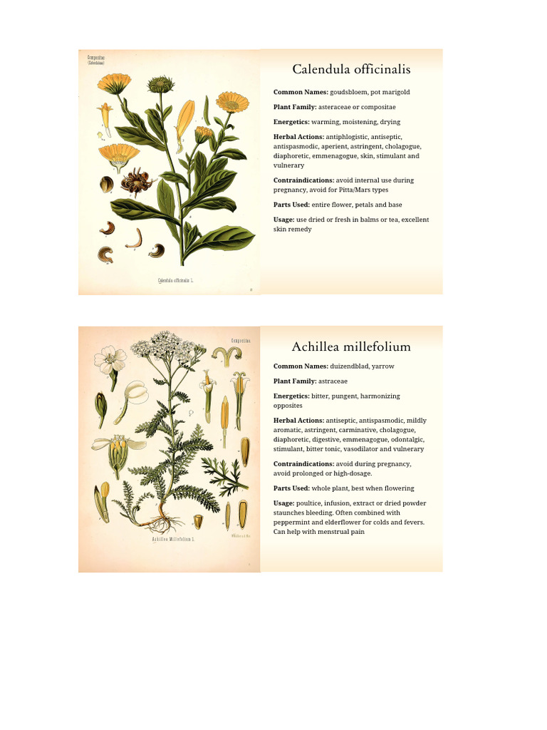 Card Sized Monograph | PDF