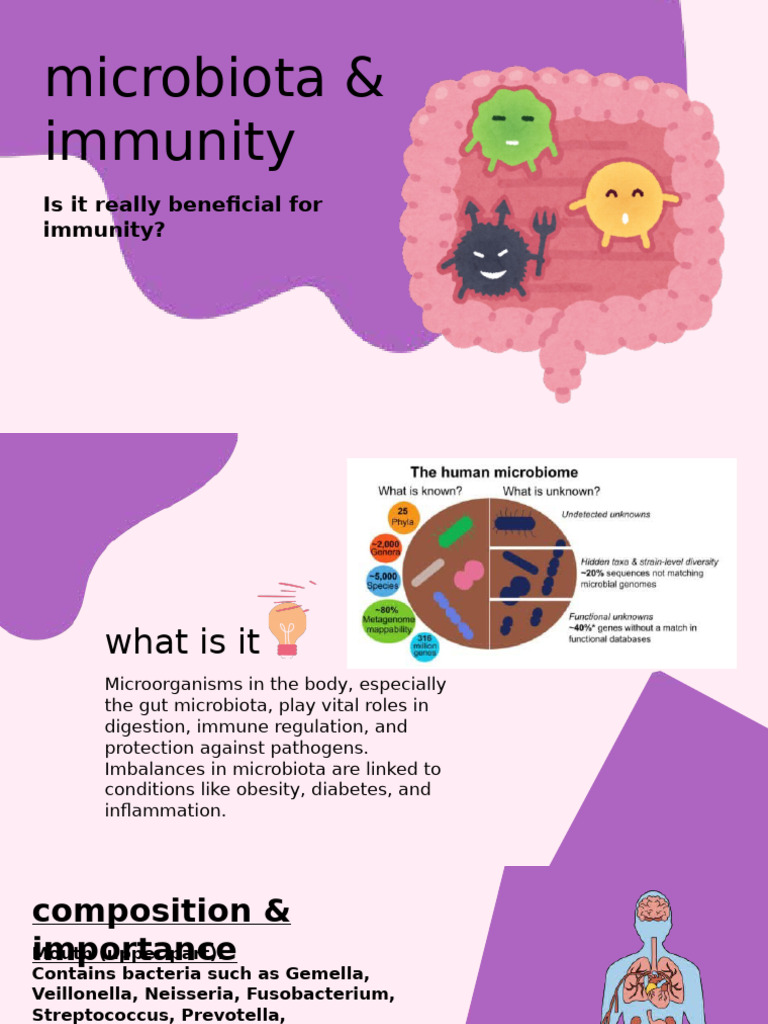 Gut Microbiota's Role in Immunity | PDF | Immune System | Bacteria