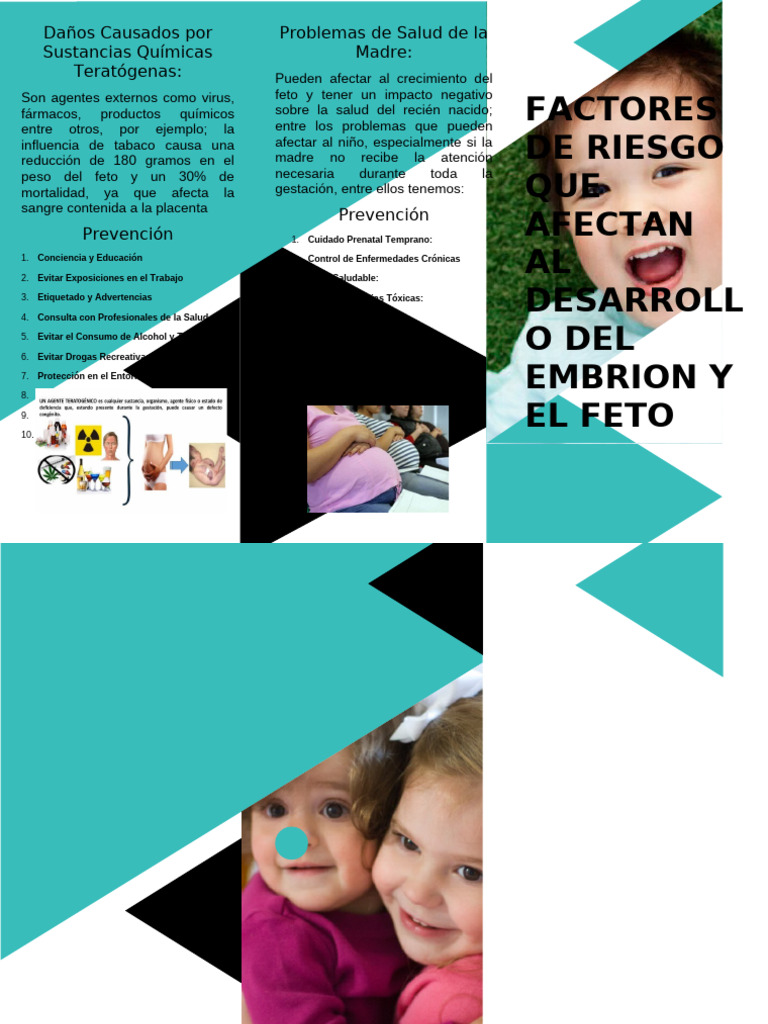 Folleto Chuys | PDF | Feto | Cuidado de la salud