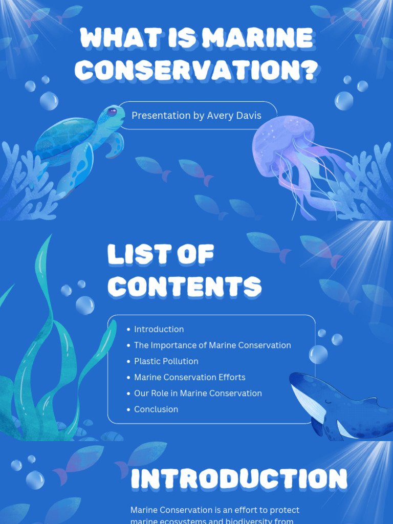Blue and White Illustrative What Is Marine Conservation Presentation | PDF