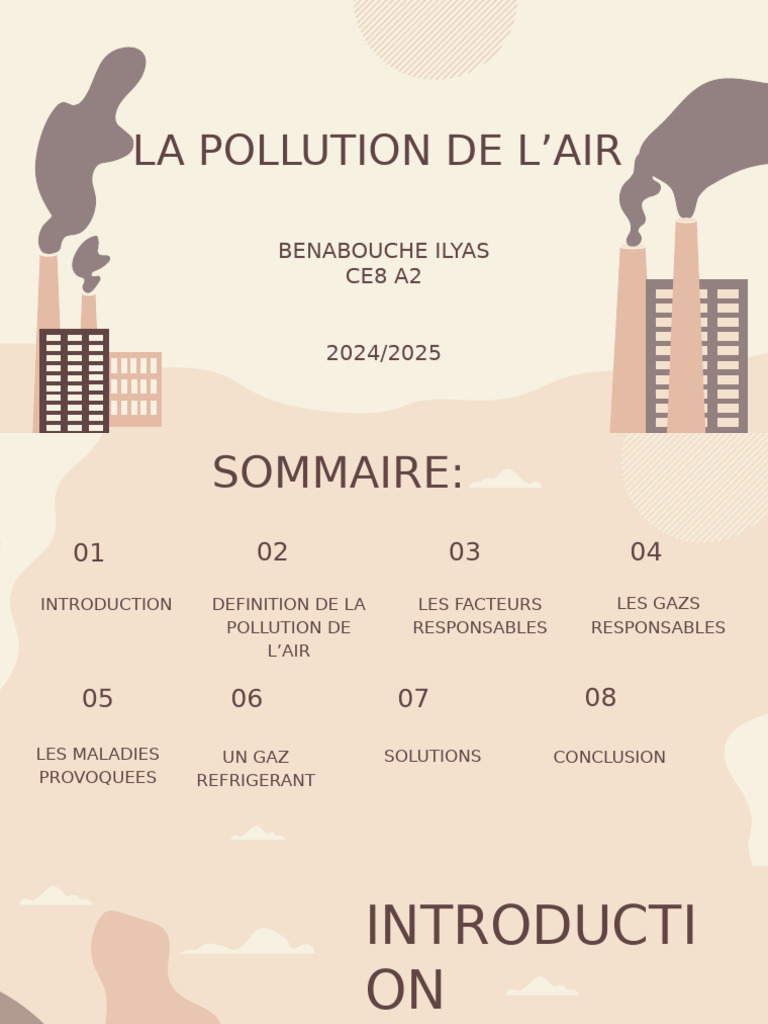 Pollution de l'air : causes et solutions | PDF | Pollution de l'air ...