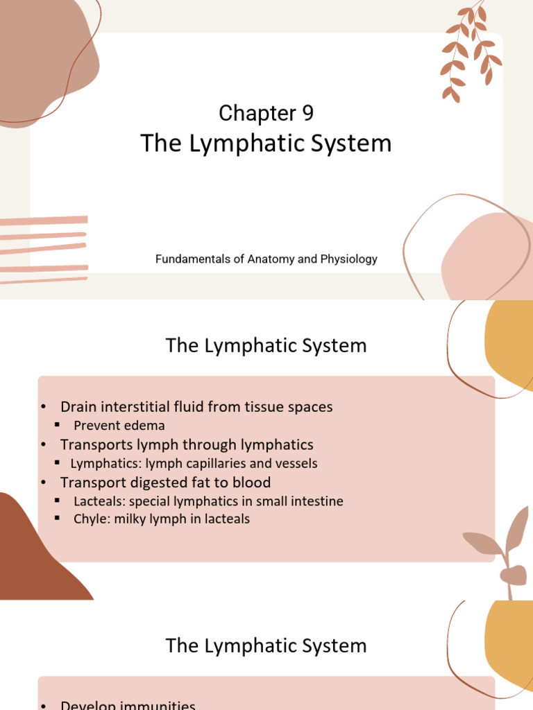 Human AnaPhy C9 - The Lymphatic System (24-25) | PDF | Lymphatic System ...
