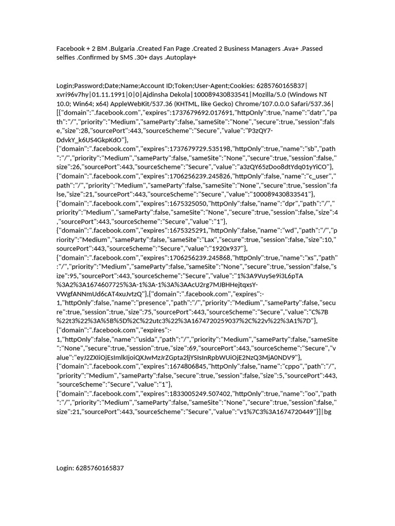 Perfil + 2BM Bulgaria Editado | PDF | Http Cookie | Web Technology