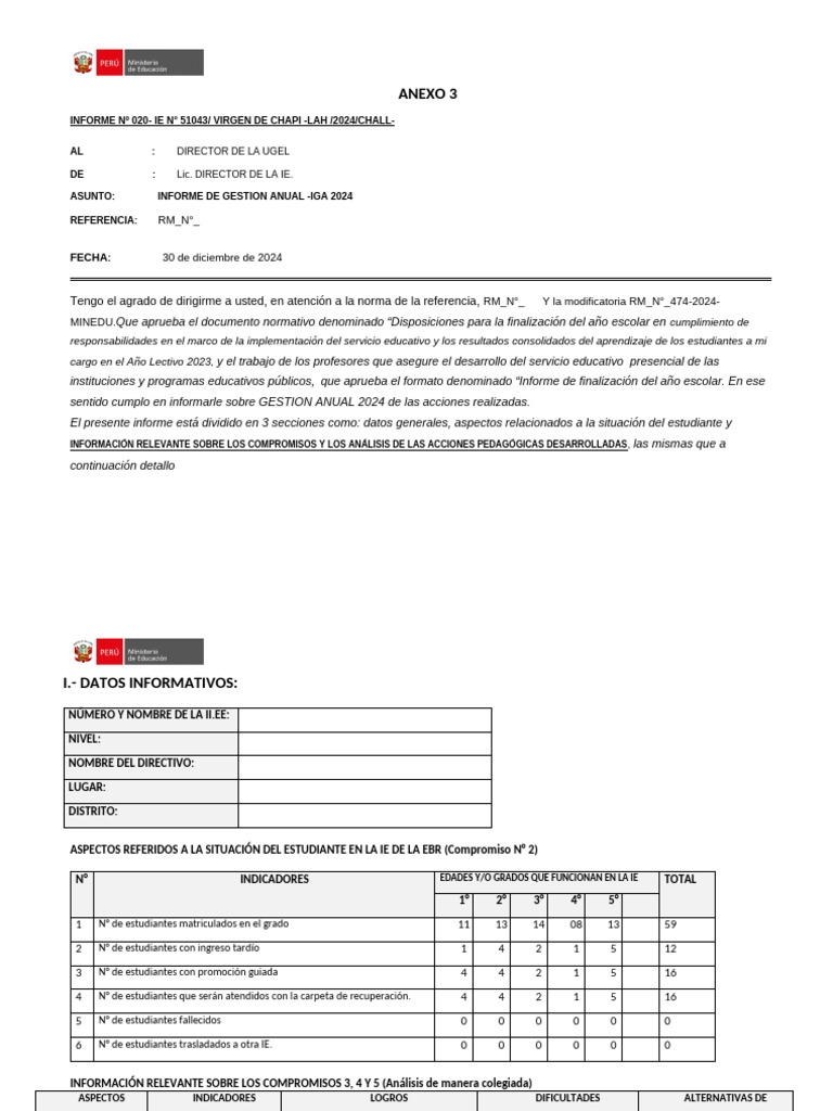 Informe de Gestión Anual 2024 IE Virgen de Chapi | PDF | Enseñando ...