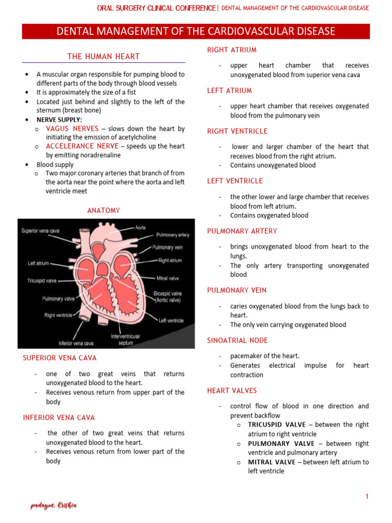 management For Cardiovascular Disease | PDF | Heart | Congenital Heart ...
