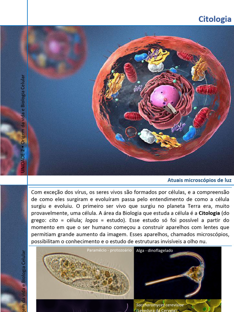 Estudo da Célula e Citologia | PDF | Célula (Biologia) | Osmose