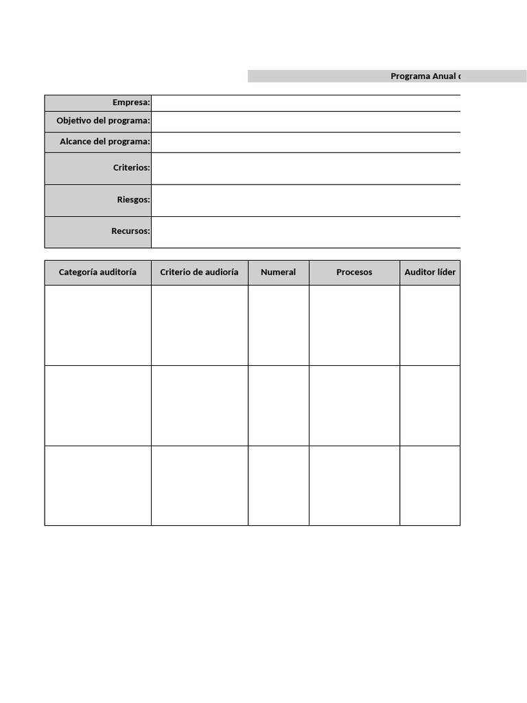 Formato Programa y Plan de Auditoria | PDF | Auditoría | Business
