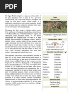Tiger | PDF