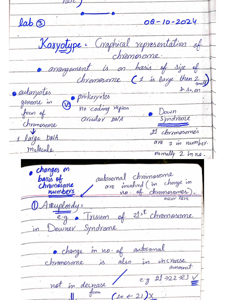 abg-2nd-lab-pdf