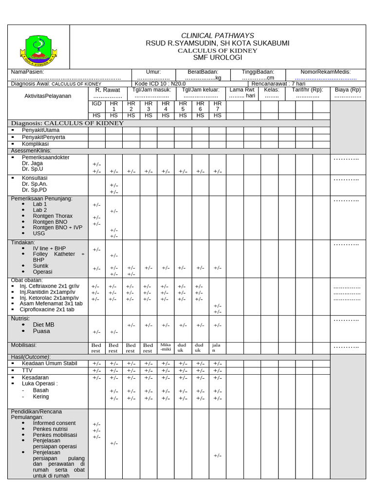 Rencana Perawatan Calculus Ginjal N20.0 | PDF