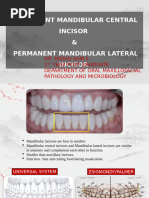 Anatomy of Maxillary Central Incisor | PDF | Dental Anatomy | Dentistry ...