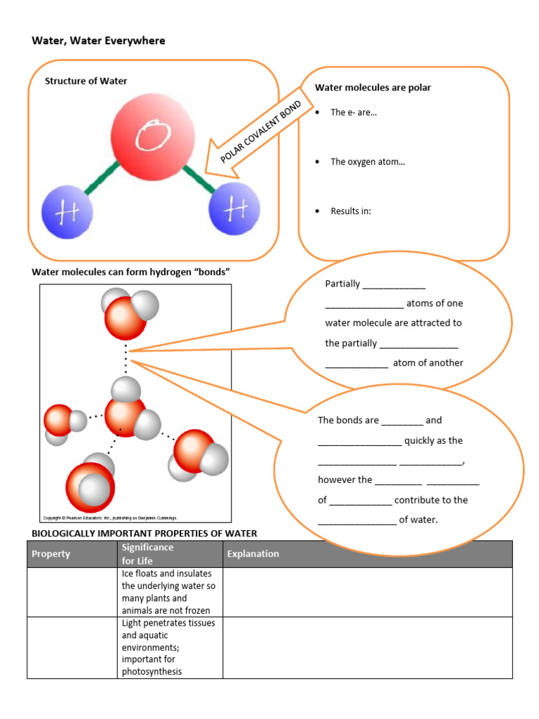 water_structure_notes | PDF | Water | Properties Of Water