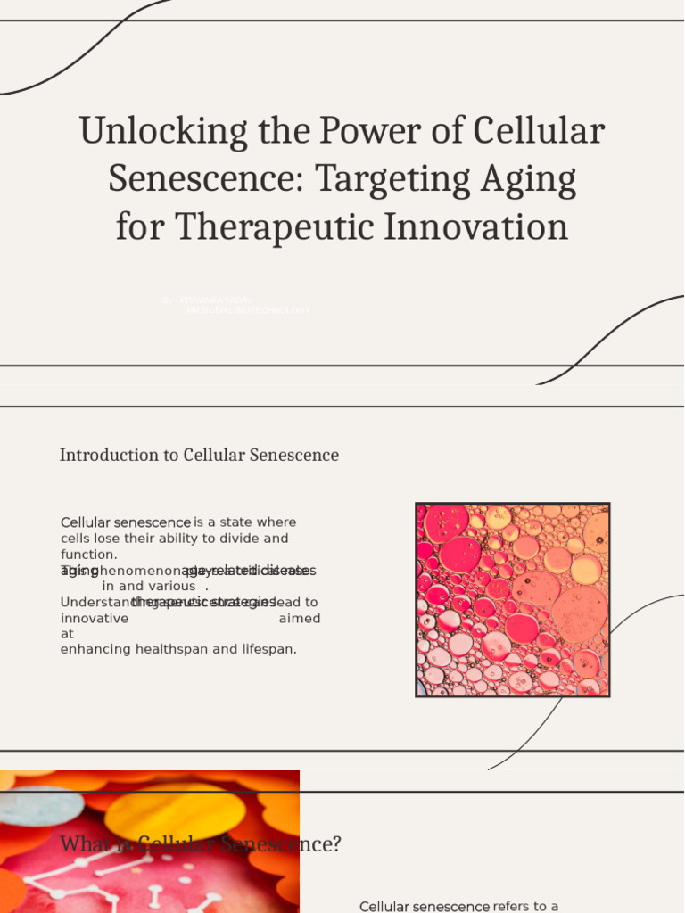 Targeting Cellular Senescence for Aging | PDF | Senescence | Ageing