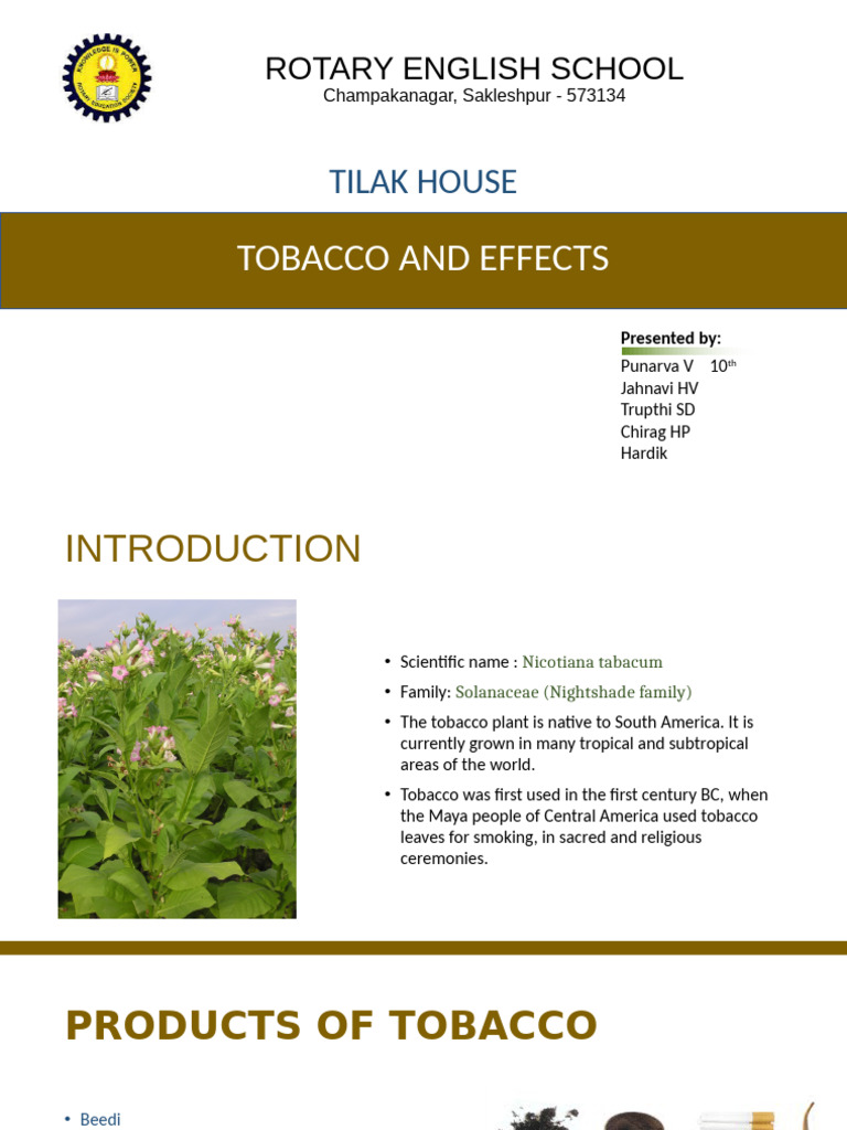 Tobacco Effects and Quit Strategies | PDF | Tobacco | Lung