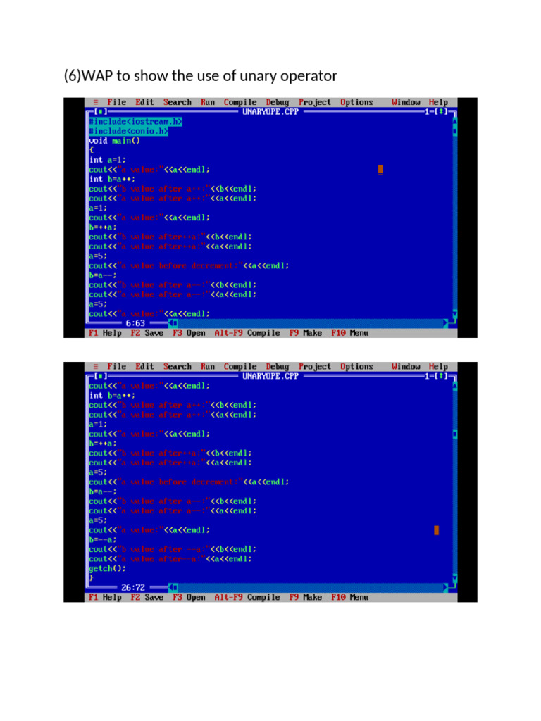 WAP To Show The Use of Unary Operator | PDF