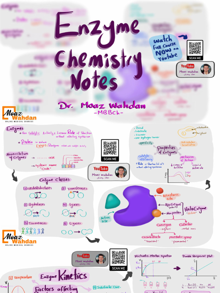 Enzyme in 5 Pages - Moaz Wahdan Notes | PDF