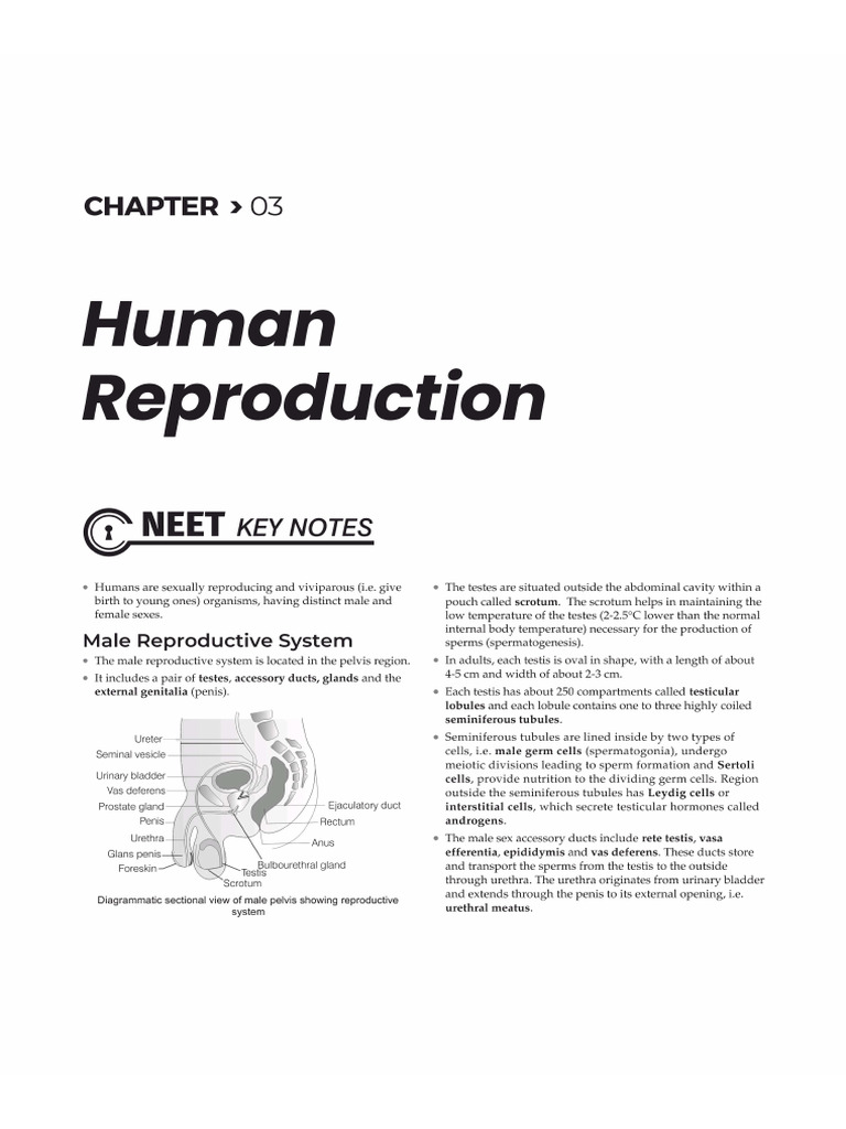 3. Human Reproduction | PDF