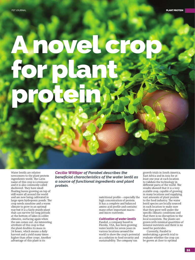 A Novel Crop For Plant Protein 2020 | PDF | Vitamin B12 | Foods