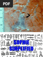 Download Sophie Simplified by Abid Ali Rizvi SN80811979 doc pdf