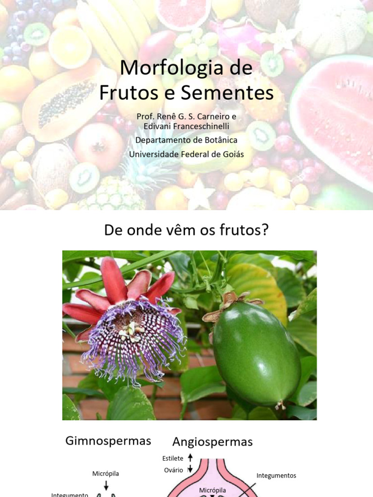 Morfologia de Frutos e Sementes | PDF | Semente | Áreas da Botânica