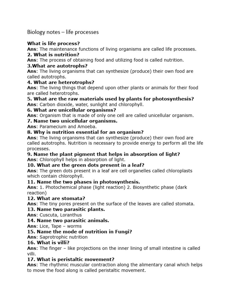 Biology Basics for Students | PDF | Cellular Respiration | Nutrition