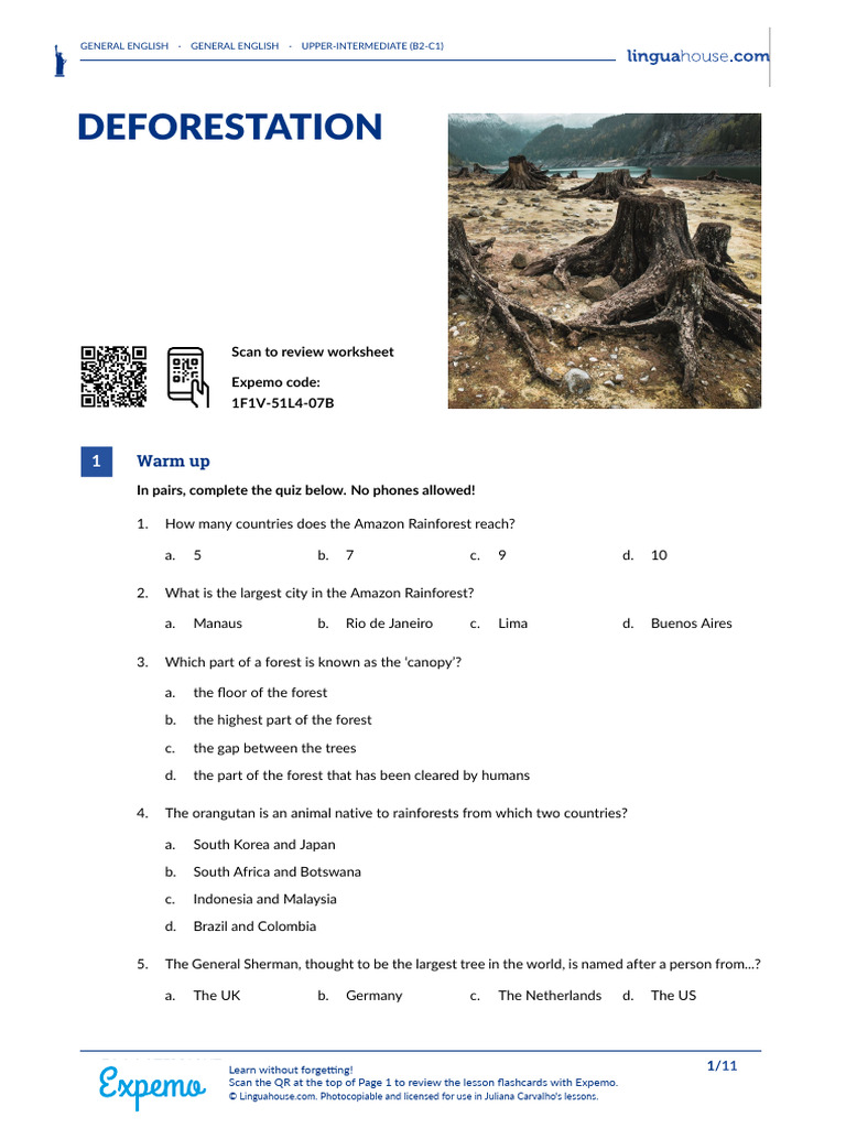 Understanding Deforestation Issues | PDF | Forests | Amazon Rainforest