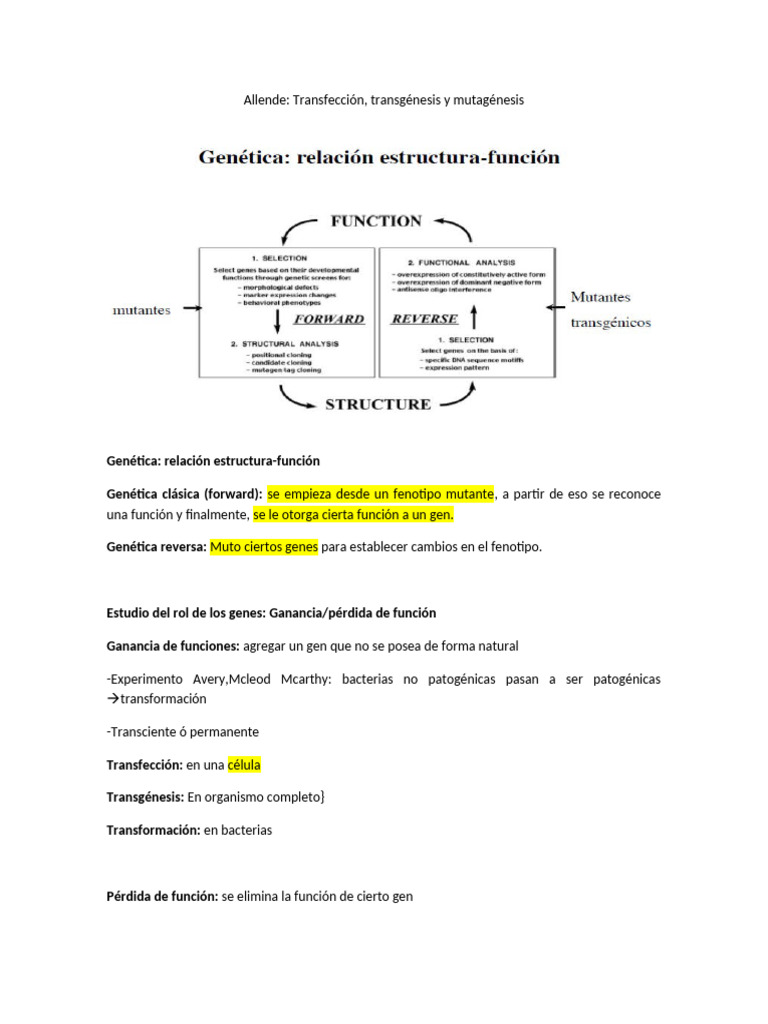 Transfección y transgénesis en genética | PDF | Transfección | Gene