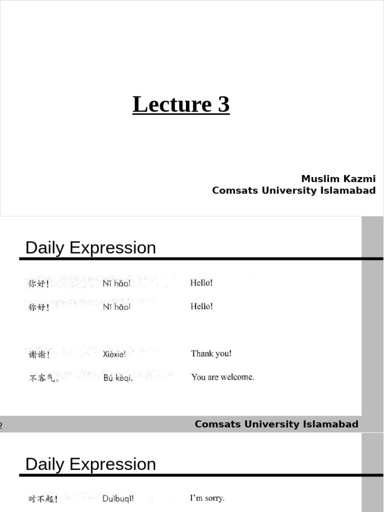 Daily Expressions and Basic Grammar | PDF | Linguistics | Human ...
