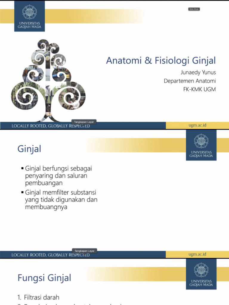 Anatomi Dan Fisiologi Ginjal Pdf