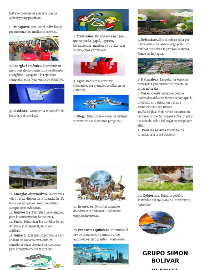 Medidas para Prevenir El Calentamiento Global Triptico | PDF