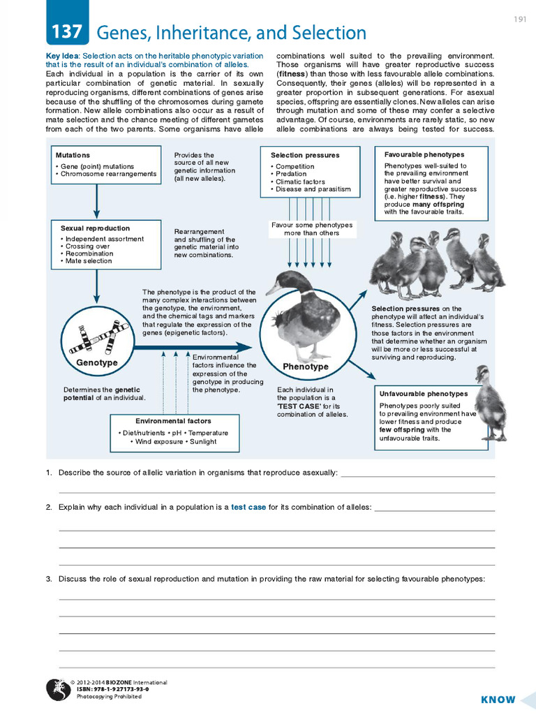 Genetic Variation and Selection Dynamics | PDF | Natural Selection ...