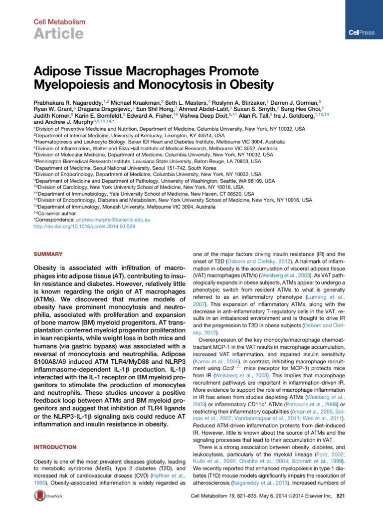 Adipose Macrophages and Myelopoiesis in Obesity | PDF | Inflammation ...
