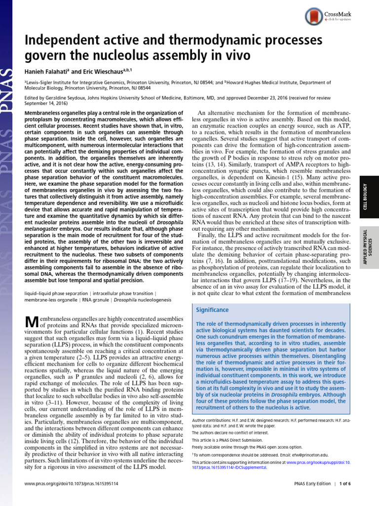 Nucleolus Assembly: Active vs. Thermodynamic Processes | PDF | In Vitro ...