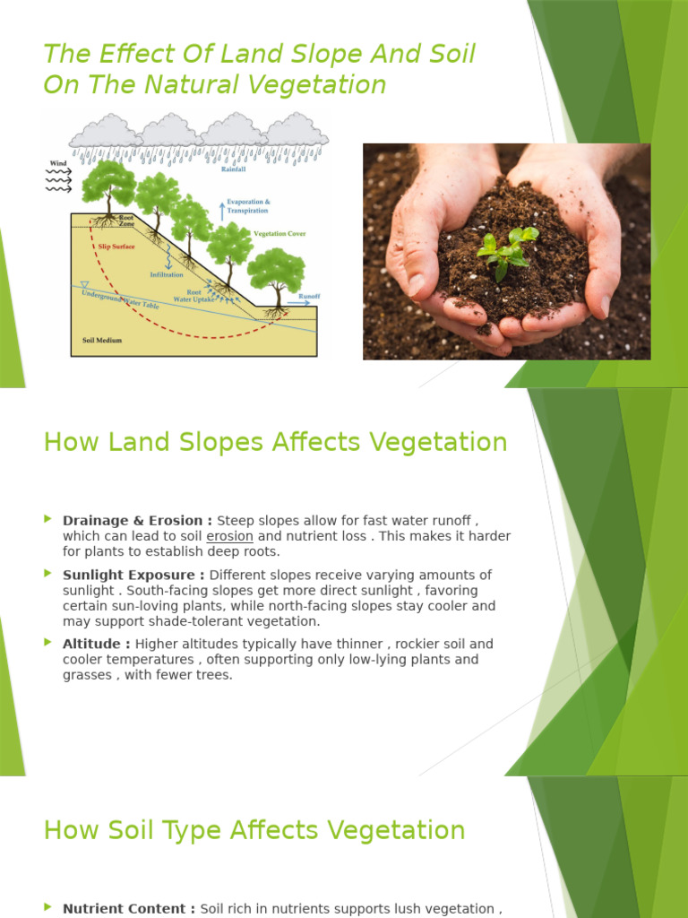 Impact of Slope and Soil on Vegetation | PDF